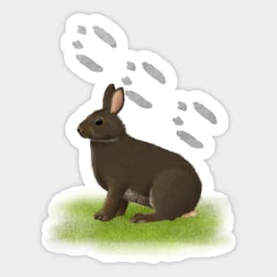Rabbit Tracks Sticker